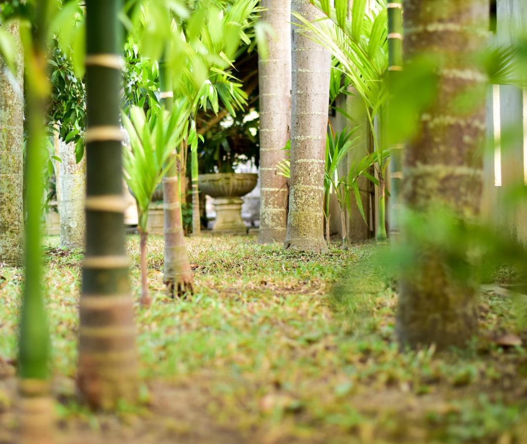 Chiang Mai Heritage House Екстер'єр фото